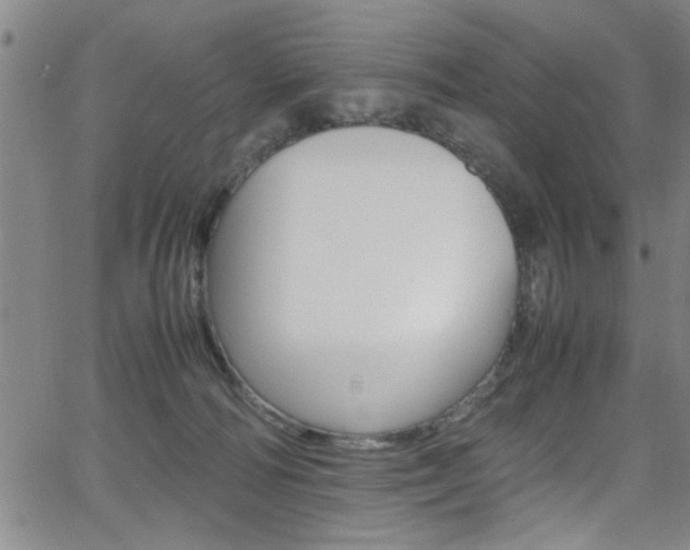 X0000065980226200603030938