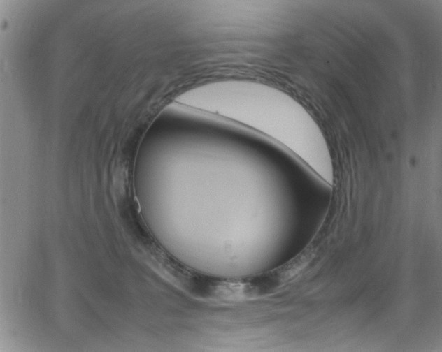 X0000065980227200603030938