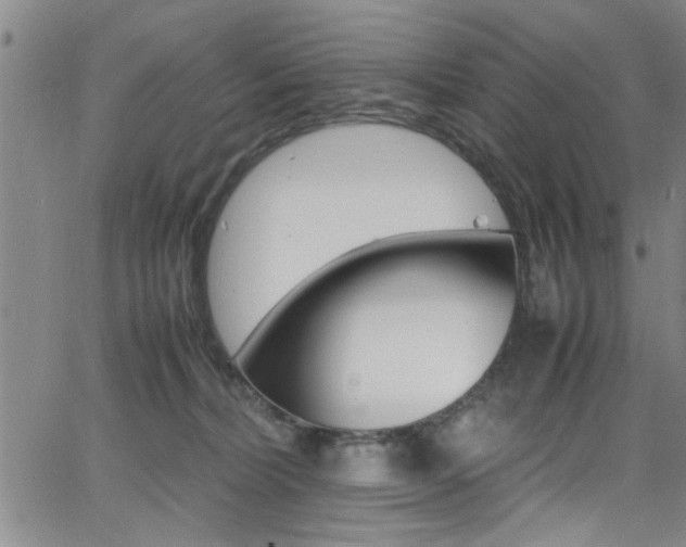 X0000065980228200603030938