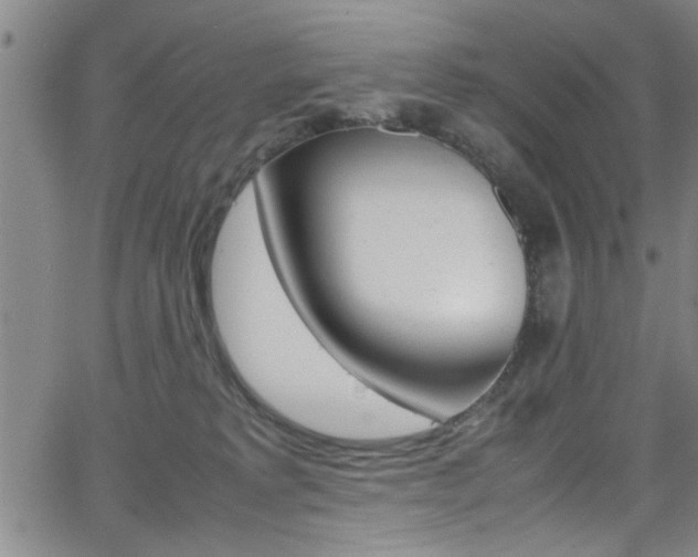 X0000065980229200603030938