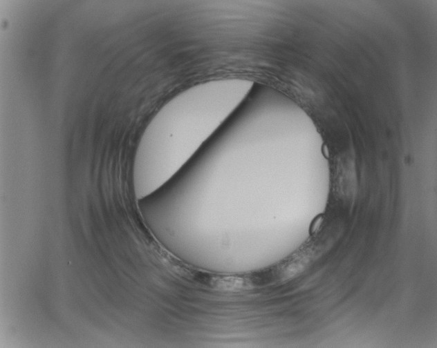 X0000065980230200603030938