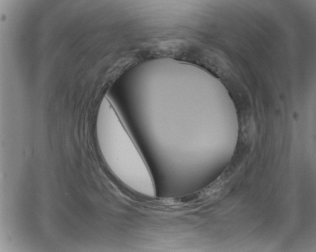 X0000065980231200603030938