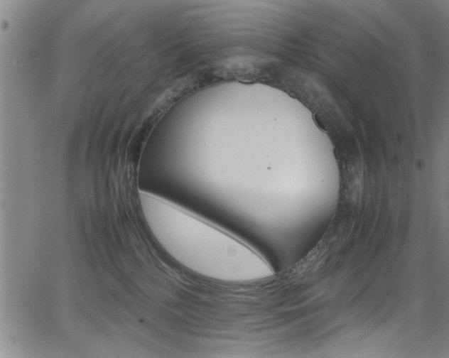 X0000065980232200603030938