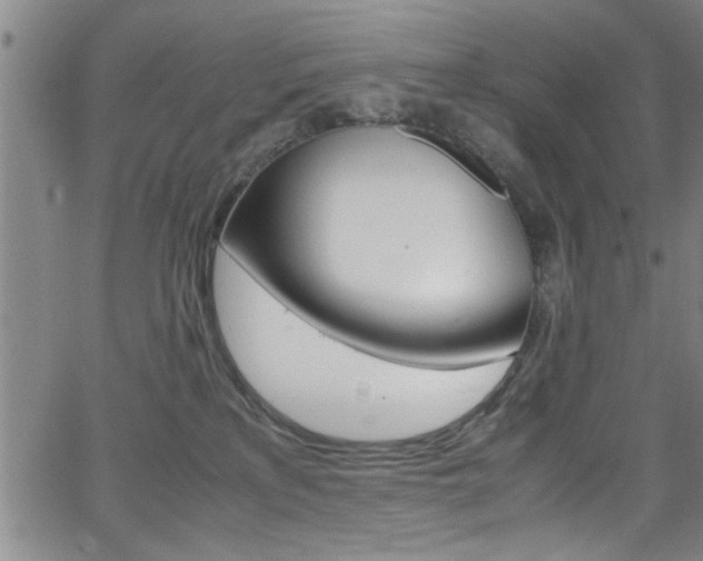 X0000065980233200603030938