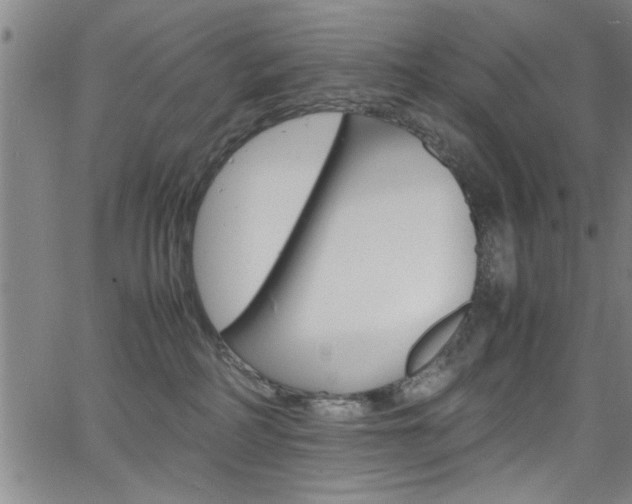 X0000065980234200603030938