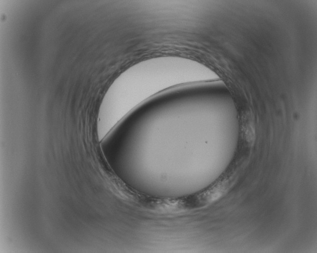 X0000065980235200603030938