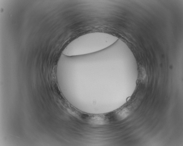 X0000065980236200603030938