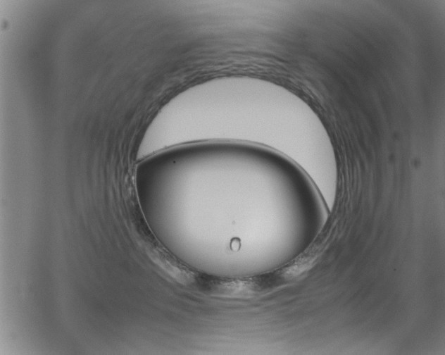 X0000065980237200603030938