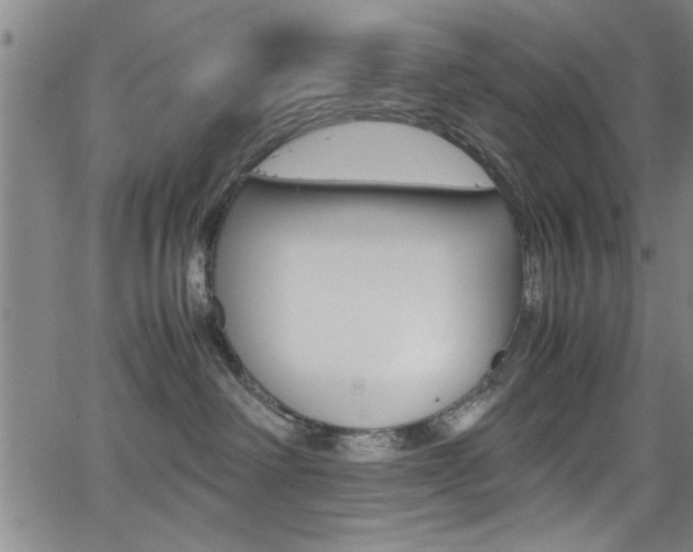 X0000065980238200603030938