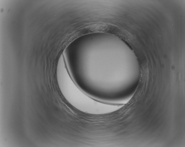 X0000065980239200603030938