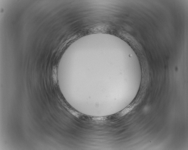 X0000065980240200603030938