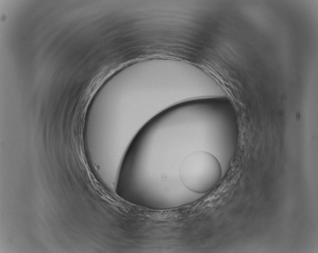 X0000065980241200603030937