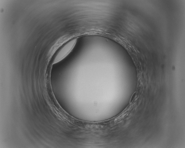 X0000065980242200603030937