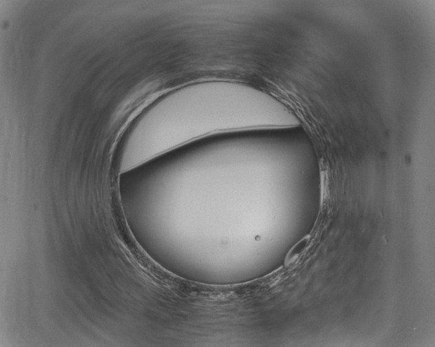 X0000065980243200603030937