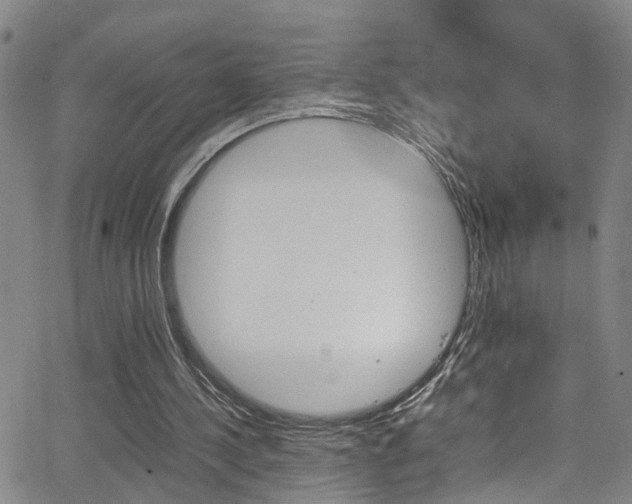 X0000065980244200603030937