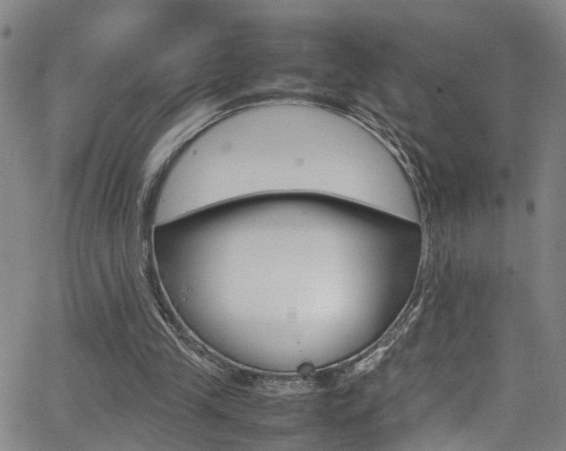 X0000065980245200603030937