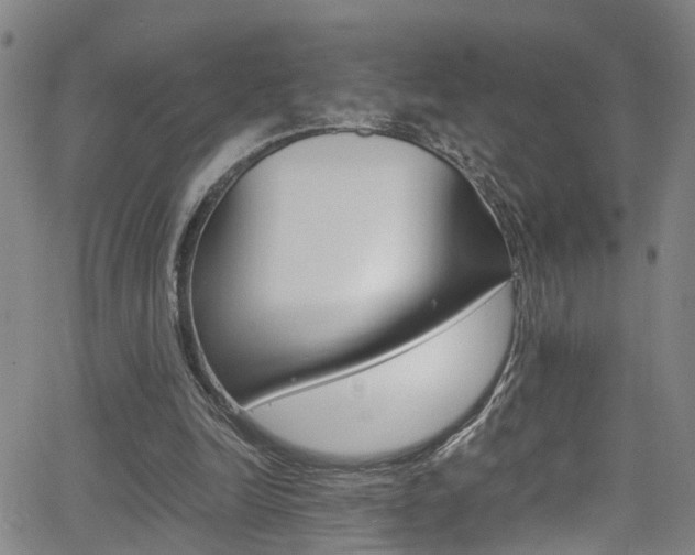 X0000065980246200603030937