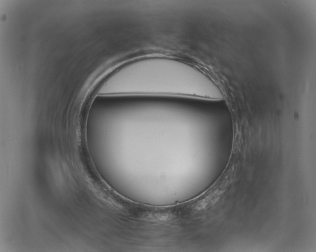 X0000065980247200603030937