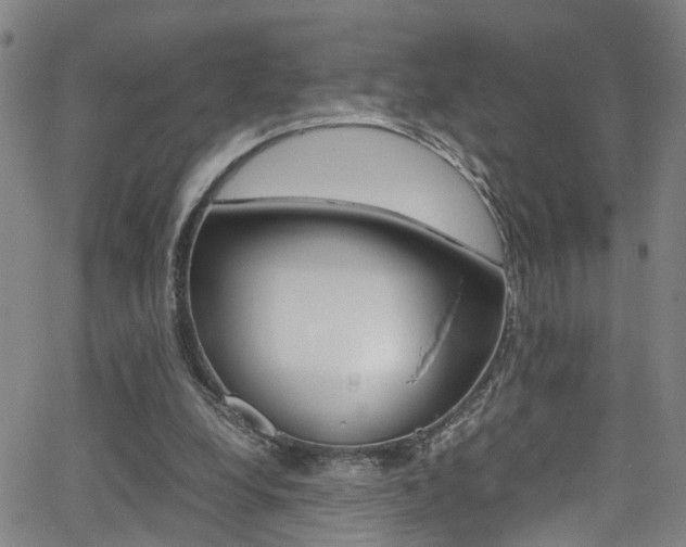 X0000065980248200603030937