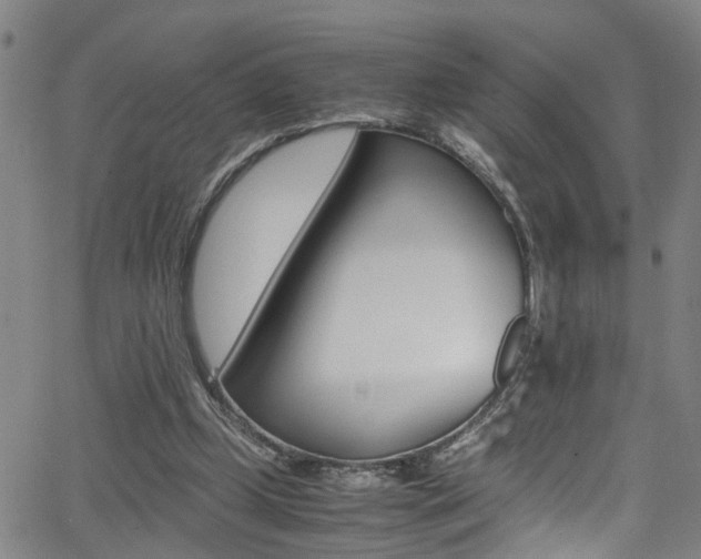 X0000065980249200603030937