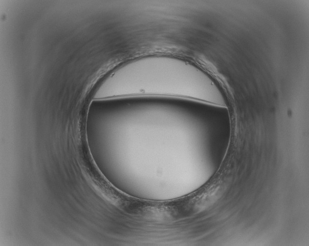 X0000065980250200603030937