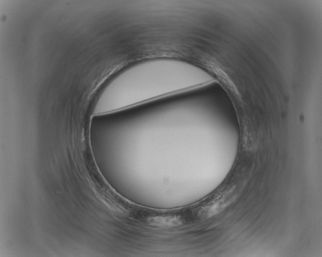 X0000065980251200603030937