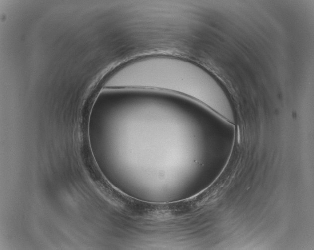 X0000065980252200603030937