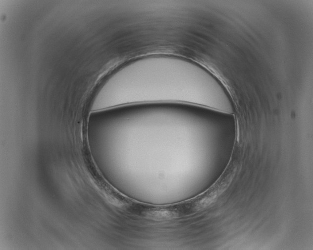 X0000065980253200603030937