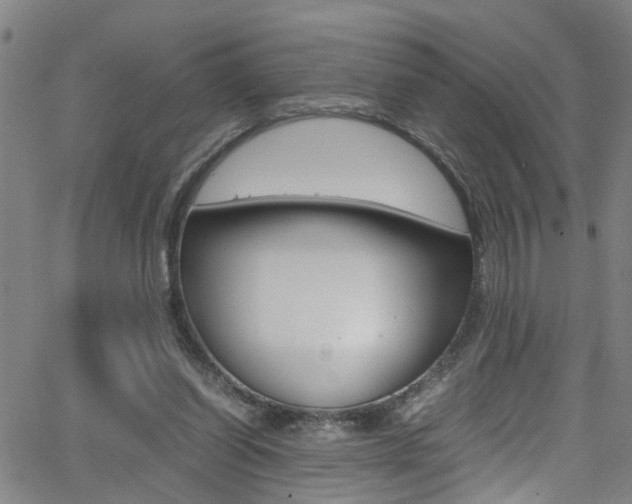 X0000065980254200603030937