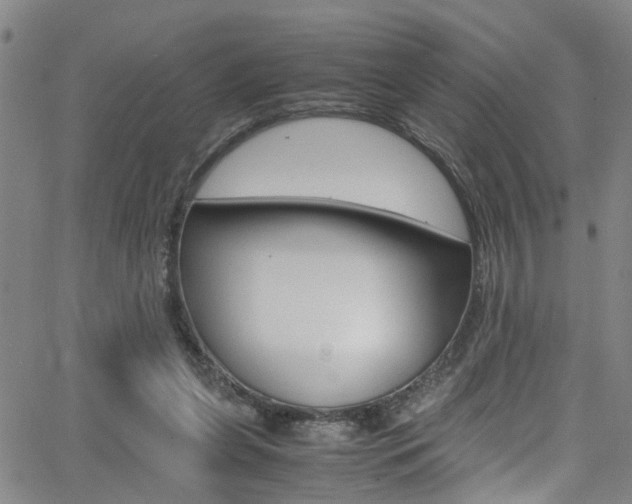 X0000065980255200603030937