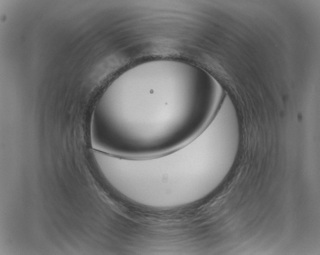 X0000065980256200603030937