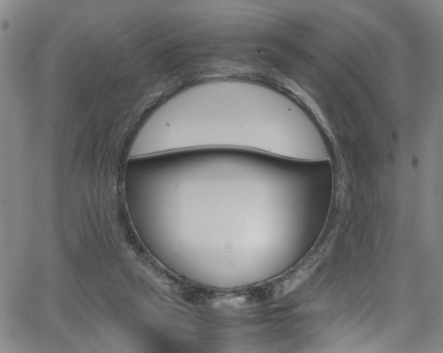 X0000065980257200603030937