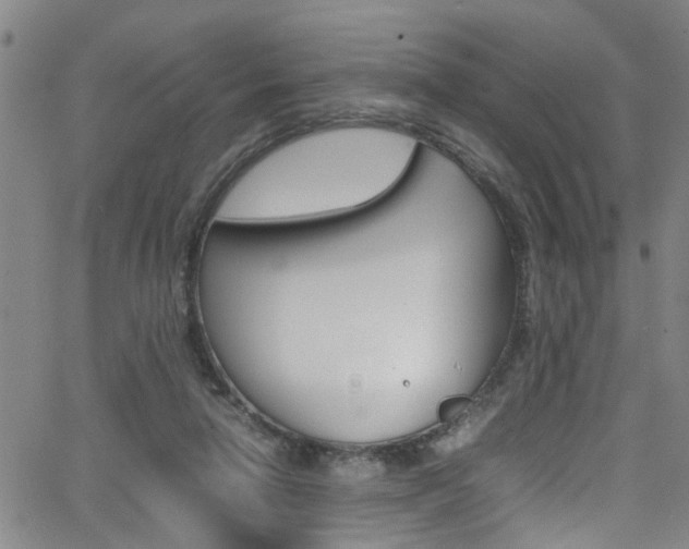 X0000065980258200603030937