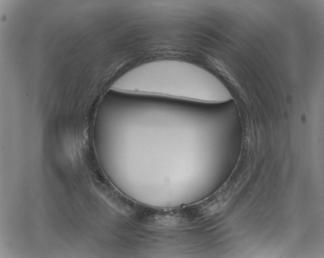 X0000065980259200603030937