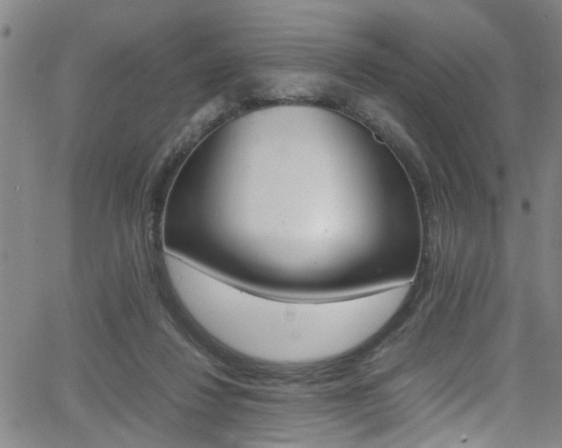 X0000065980260200603030937