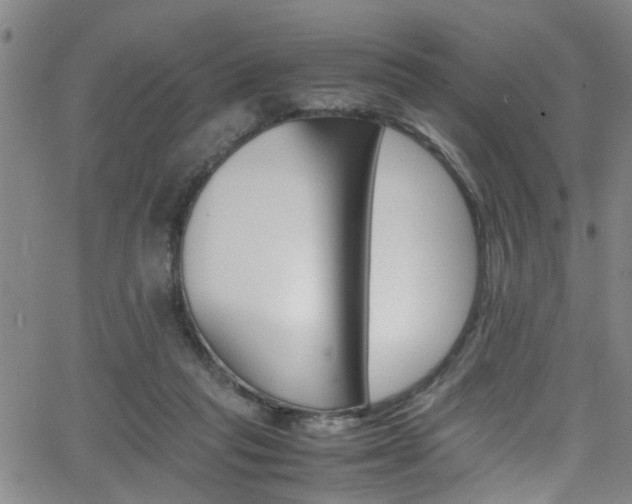 X0000065980261200603030937