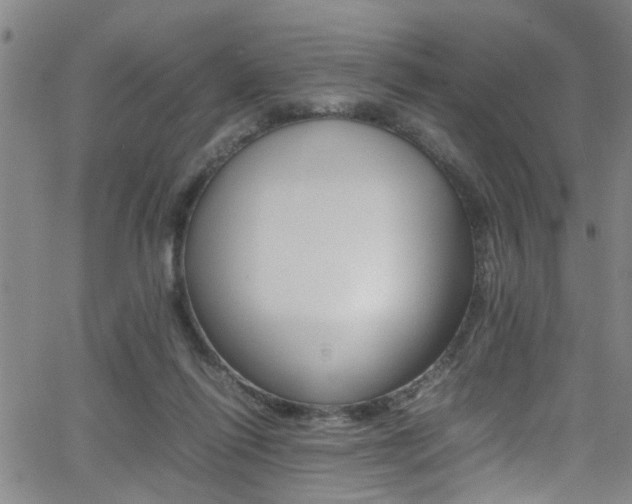 X0000065980262200603030937