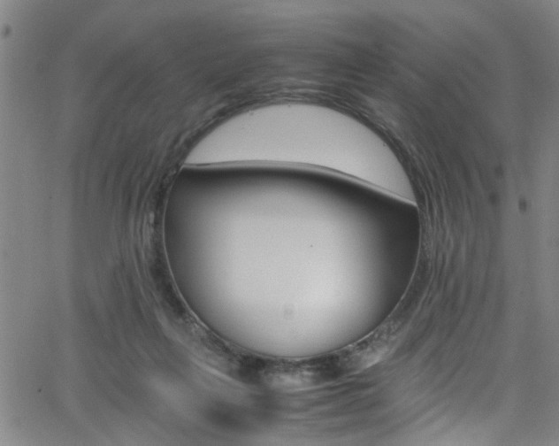 X0000065980263200603030937