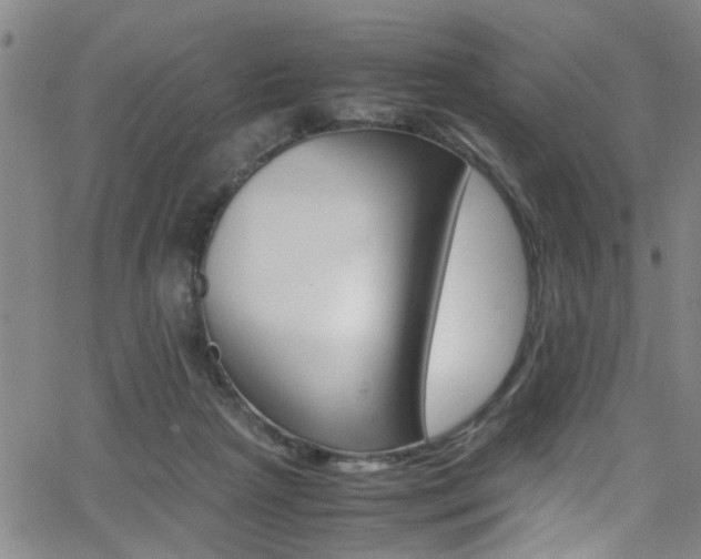 X0000065980265200603030937