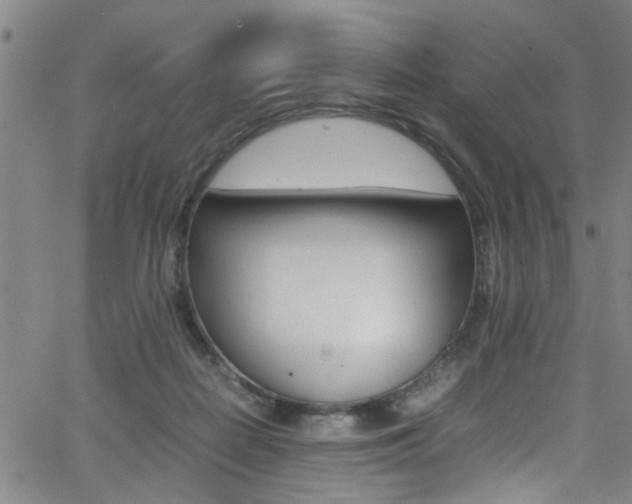 X0000065980266200603030937