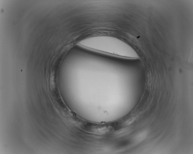 X0000065980267200603030937