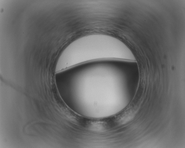 X0000065980268200603030937