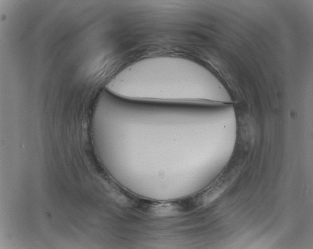 X0000065980269200603030937