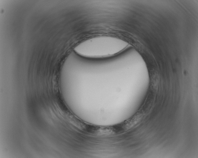 X0000065980270200603030937