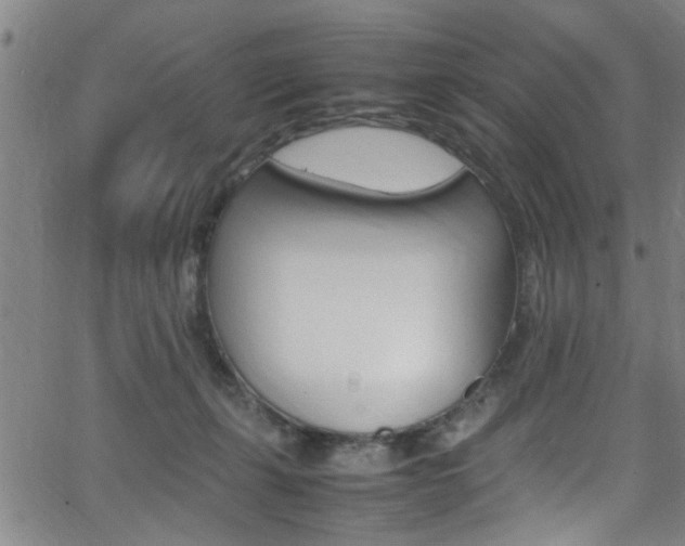 X0000065980271200603030937