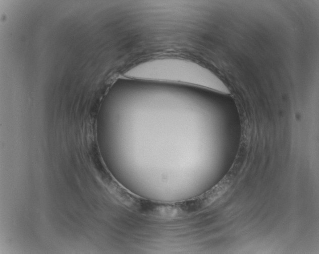 X0000065980272200603030937