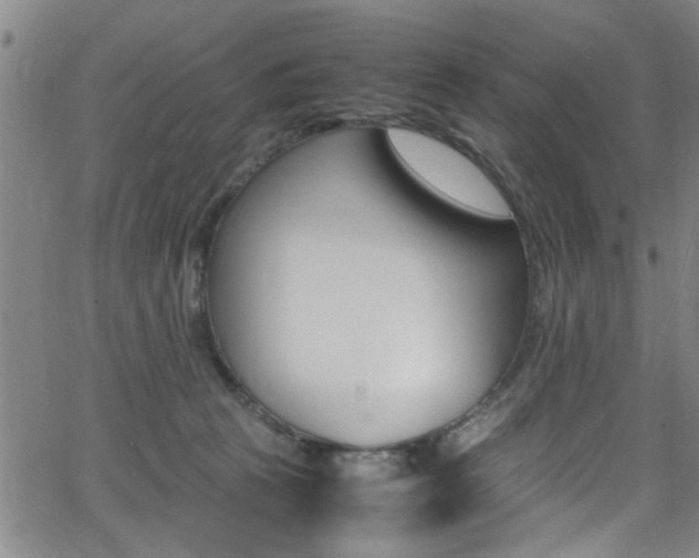 X0000065980273200603030937