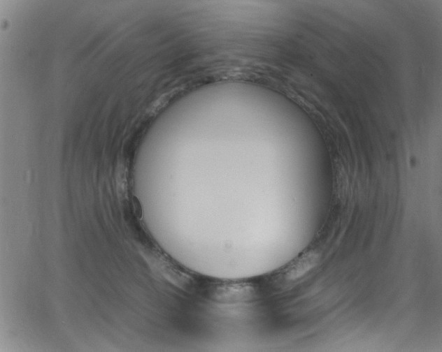 X0000065980274200603030938