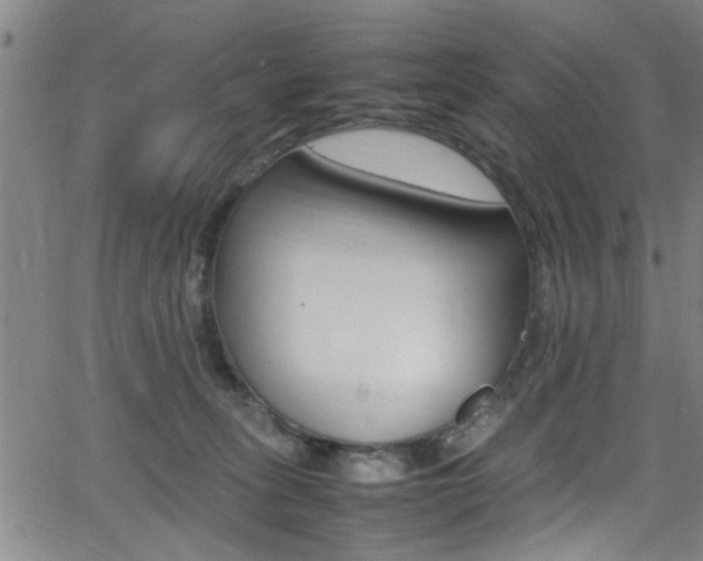 X0000065980275200603030938