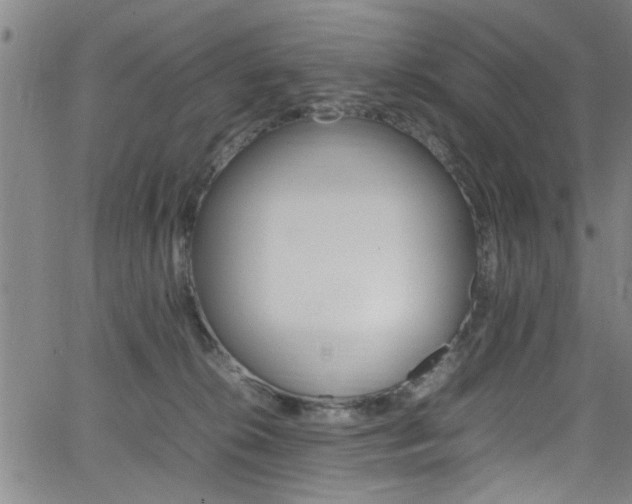 X0000065980276200603030938